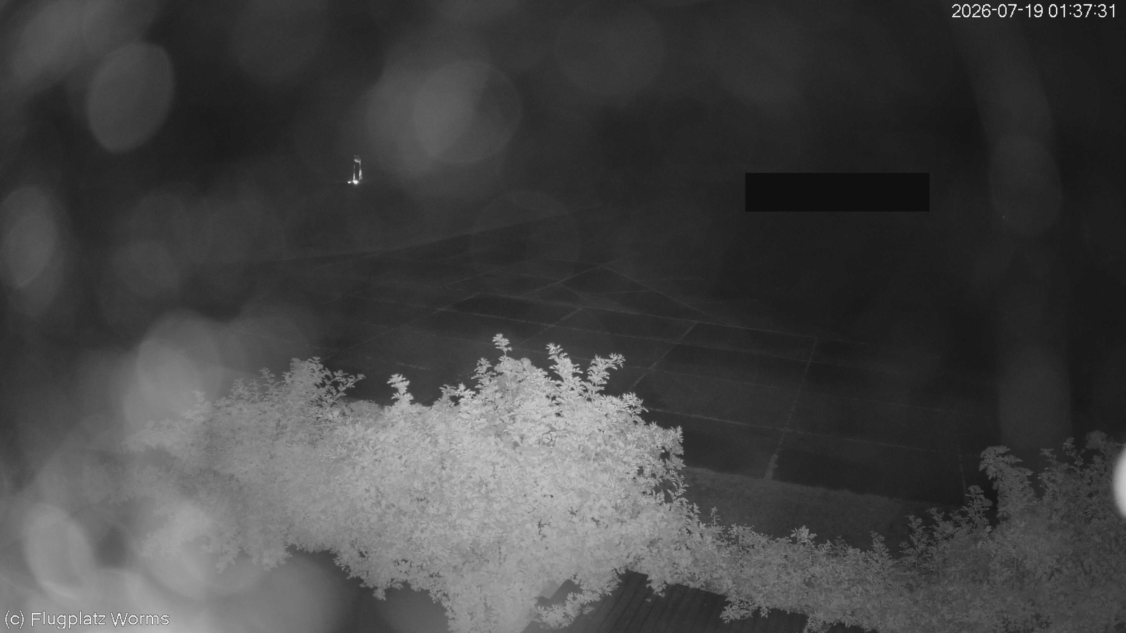 Webcam Flugplatz Worms